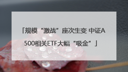 规模“激战”座次生变 中证A500相关ETF大幅“吸金”