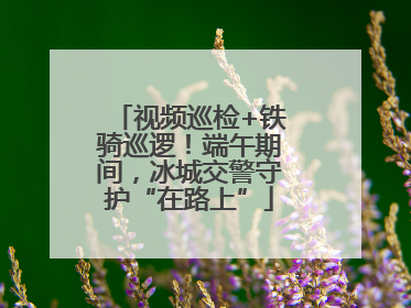 视频巡检+铁骑巡逻！端午期间，冰城交警守护“在路上”