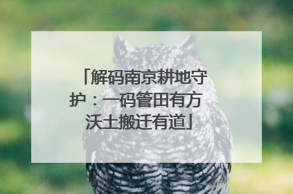 解码南京耕地守护：一码管田有方 沃土搬迁有道