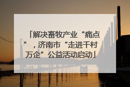 解决畜牧产业“痛点”，济南市“走进千村万企”公益活动启动