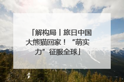 解构局丨旅日中国大熊猫回家！“萌实力”征服全球