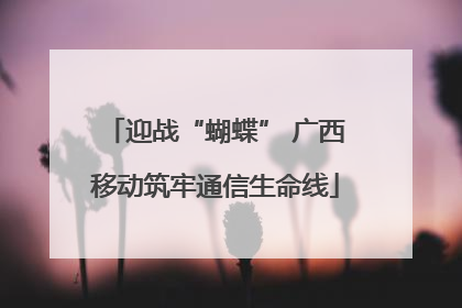 迎战“蝴蝶” 广西移动筑牢通信生命线