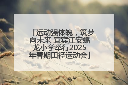运动强体魄，筑梦向未来 宜宾江安蟠龙小学举行2025年春期田径运动会