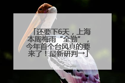还要下6天，上海本周梅雨“全勤”，今年首个台风真的要来了！最新研判→