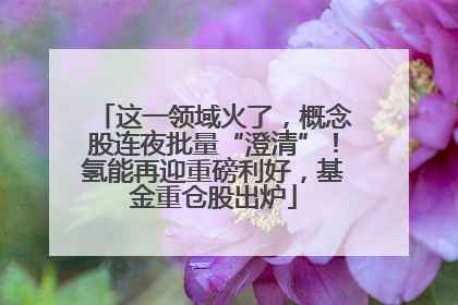 这一领域火了，概念股连夜批量“澄清”！氢能再迎重磅利好，基金重仓股出炉
