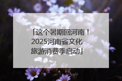 这个暑期回河南！2025河南省文化旅游消费季启动