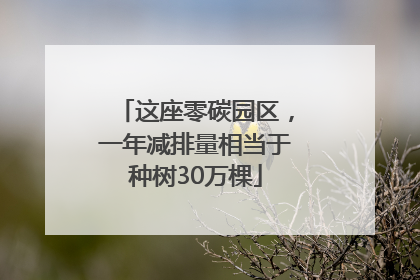 这座零碳园区，一年减排量相当于种树30万棵