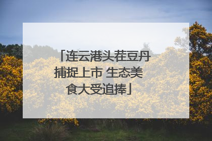 连云港头茬豆丹捕捉上市 生态美食大受追捧
