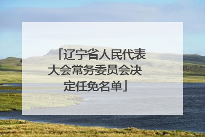 辽宁省人民代表大会常务委员会决定任免名单