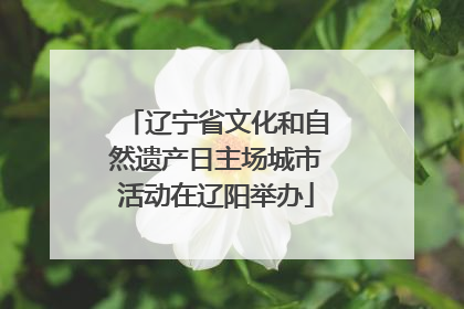 辽宁省文化和自然遗产日主场城市活动在辽阳举办