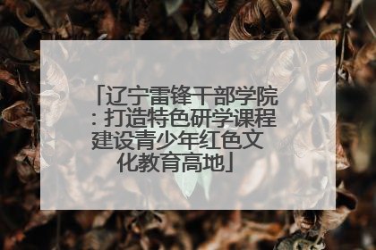 辽宁雷锋干部学院：打造特色研学课程 建设青少年红色文化教育高地