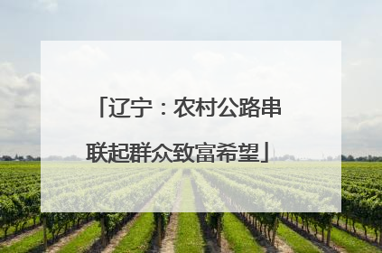 辽宁：农村公路串联起群众致富希望