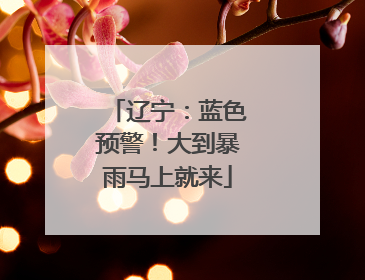 辽宁：蓝色预警！大到暴雨马上就来