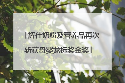 辉仕奶粉及营养品再次斩获母婴龙标奖金奖