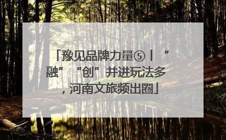 豫见品牌力量⑤丨“融”“创”并进玩法多，河南文旅频出圈