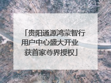 贵阳通源鸿蒙智行用户中心盛大开业 获首家尊界授权