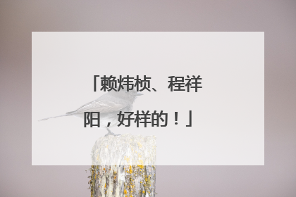 赖炜桢、程祥阳，好样的！