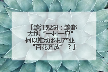 赣江观澜：赣鄱大地“一村一品”何以推动乡村产业“百花齐放”？