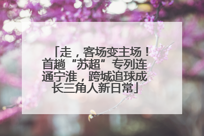 走，客场变主场！首趟“苏超”专列连通宁淮，跨城追球成长三角人新日常