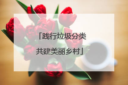 践行垃圾分类 共建美丽乡村