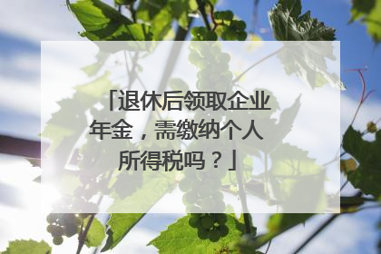 退休后领取企业年金，需缴纳个人所得税吗？
