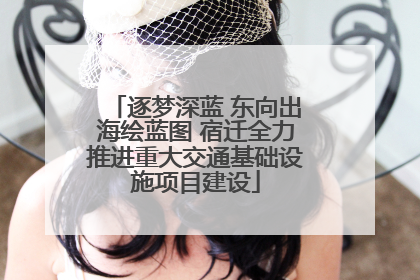 逐梦深蓝 东向出海绘蓝图 宿迁全力推进重大交通基础设施项目建设