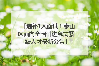 递补1人面试！泰山区面向全国引进急需紧缺人才最新公告