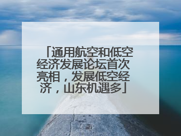 通用航空和低空经济发展论坛首次亮相，发展低空经济，山东机遇多