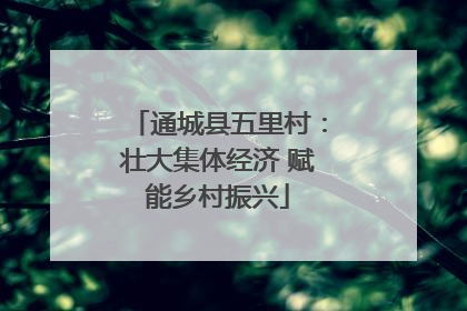 通城县五里村：壮大集体经济 赋能乡村振兴