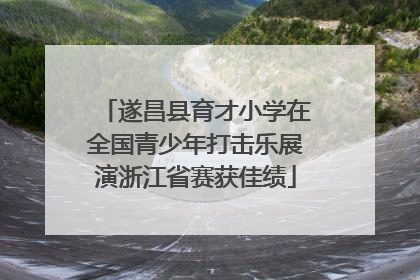 遂昌县育才小学在全国青少年打击乐展演浙江省赛获佳绩