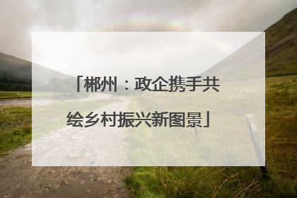 郴州：政企携手共绘乡村振兴新图景
