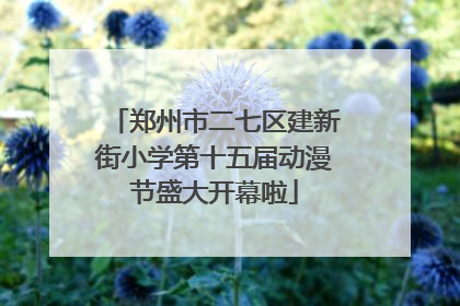 郑州市二七区建新街小学第十五届动漫节盛大开幕啦