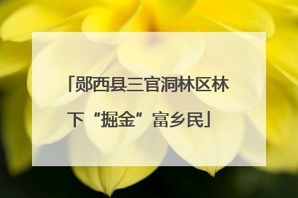 郧西县三官洞林区林下“掘金”富乡民