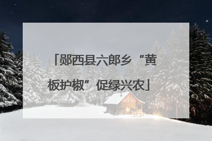 郧西县六郎乡“黄板护椒”促绿兴农