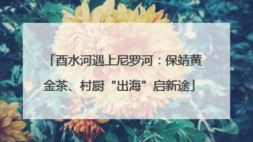 酉水河遇上尼罗河：保靖黄金茶、村厨“出海”启新途