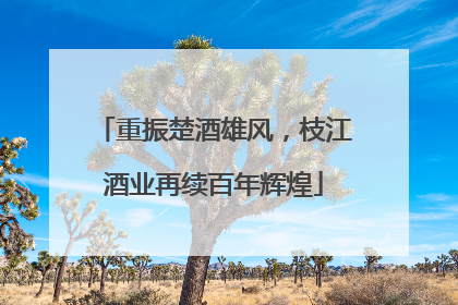 重振楚酒雄风，枝江酒业再续百年辉煌