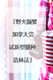 野火频繁 加拿大尝试新型撒种造林法