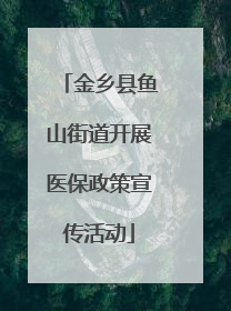 金乡县鱼山街道开展医保政策宣传活动