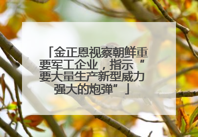 金正恩视察朝鲜重要军工企业，指示“要大量生产新型威力强大的炮弹”