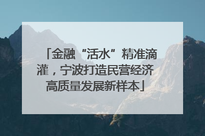 金融“活水”精准滴灌，宁波打造民营经济高质量发展新样本