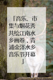 音乐、市集与烟花秀共绘江南水乡画卷，青浦金泽水乡音乐节开幕