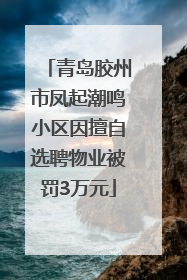 青岛胶州市凤起潮鸣小区因擅自选聘物业被罚3万元