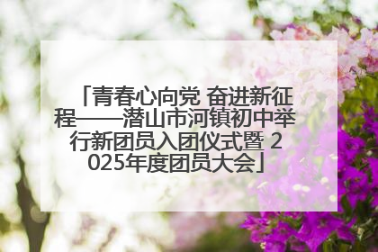 青春心向党 奋进新征程——潜山市河镇初中举行新团员入团仪式暨 2025年度团员大会