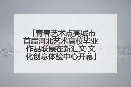 青春艺术点亮城市 首届河北艺术高校毕业作品联展在新汇文·文化创意体验中心开幕