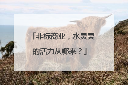 非标商业，水灵灵的活力从哪来？