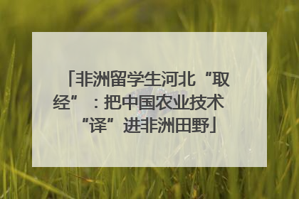 非洲留学生河北“取经”：把中国农业技术“译”进非洲田野