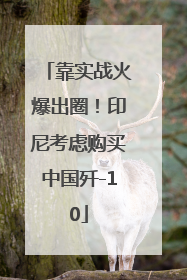 靠实战火爆出圈！印尼考虑购买中国歼-10