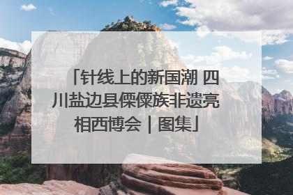 针线上的新国潮 四川盐边县傈僳族非遗亮相西博会｜图集
