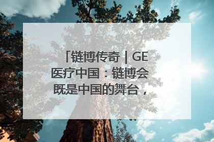 链博传奇｜GE医疗中国：链博会既是中国的舞台，也是世界的橱窗