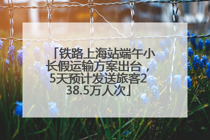 铁路上海站端午小长假运输方案出台，5天预计发送旅客238.5万人次